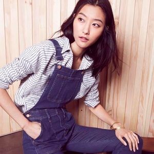 Madewell Skinny Overalls in Judd